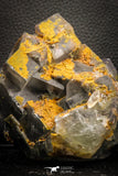 07912 -  Top Pale Blue Fluorite Crystals on Matrix Hameda Fluorite Mine South Morocco