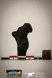 22410 - Collector Grade 14.6g "Agoudal" Imilchil Iron IIAB Meteorite