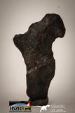 22410 - Collector Grade 14.6g "Agoudal" Imilchil Iron IIAB Meteorite