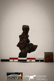 22411 - Collector Grade 14.4g "Agoudal" Imilchil Iron IIAB Meteorite