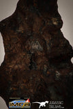22411 - Collector Grade 14.4g "Agoudal" Imilchil Iron IIAB Meteorite