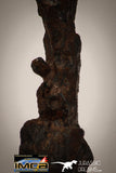 22411 - Collector Grade 14.4g "Agoudal" Imilchil Iron IIAB Meteorite