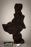 22411 - Collector Grade 14.4g "Agoudal" Imilchil Iron IIAB Meteorite