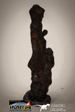 22411 - Collector Grade 14.4g "Agoudal" Imilchil Iron IIAB Meteorite