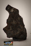 22412 - Collector Grade 14.2g "Agoudal" Imilchil Iron IIAB Meteorite