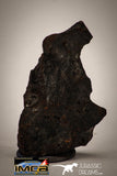 22412 - Collector Grade 14.2g "Agoudal" Imilchil Iron IIAB Meteorite