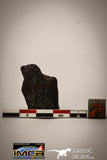 22413 - Collector Grade 16.8g "Agoudal" Imilchil Iron IIAB Meteorite