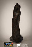 22413 - Collector Grade 16.8g "Agoudal" Imilchil Iron IIAB Meteorite
