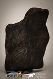 22413 - Collector Grade 16.8g "Agoudal" Imilchil Iron IIAB Meteorite
