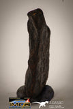 22413 - Collector Grade 16.8g "Agoudal" Imilchil Iron IIAB Meteorite
