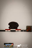 22414 - Collector Grade 8.9g "Agoudal" Imilchil Iron IIAB Meteorite