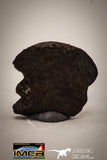 22414 - Collector Grade 8.9g "Agoudal" Imilchil Iron IIAB Meteorite