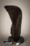 22414 - Collector Grade 8.9g "Agoudal" Imilchil Iron IIAB Meteorite
