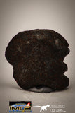 22414 - Collector Grade 8.9g "Agoudal" Imilchil Iron IIAB Meteorite