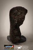 22414 - Collector Grade 8.9g "Agoudal" Imilchil Iron IIAB Meteorite