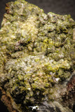 07916 - Slender Grass Green Epidote Crystals on Matrix Imilchil Mine Morocco