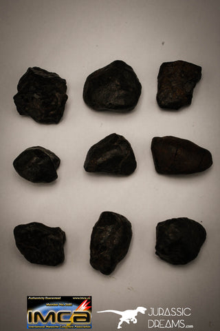 22415 - NWA L-H Type Unclassified Ordinary Chondrite Meteorites Lot 59g
