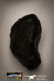 22415 - NWA L-H Type Unclassified Ordinary Chondrite Meteorites Lot 59g