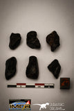 22416 - NWA L-H Type Unclassified Ordinary Chondrite Meteorites Lot 33.5g