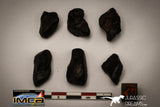 22416 - NWA L-H Type Unclassified Ordinary Chondrite Meteorites Lot 33.5g