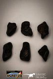 22416 - NWA L-H Type Unclassified Ordinary Chondrite Meteorites Lot 33.5g
