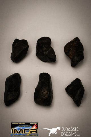 22416 - NWA L-H Type Unclassified Ordinary Chondrite Meteorites Lot 33.5g