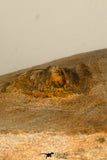 30703 - Beautiful 0.67 Inch Onnia sp Ordovician Trilobite