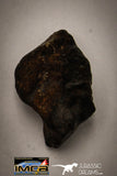 22416 - NWA L-H Type Unclassified Ordinary Chondrite Meteorites Lot 33.5g