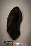 22416 - NWA L-H Type Unclassified Ordinary Chondrite Meteorites Lot 33.5g