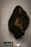 22416 - NWA L-H Type Unclassified Ordinary Chondrite Meteorites Lot 33.5g
