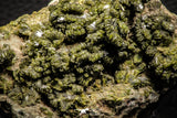 07917 - Slender Grass Green Epidote Crystals on Matrix Imilchil Mine Morocco