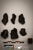 22417 - Collection of "Agoudal" Imilchil Iron IIAB Meteorites 61.7g