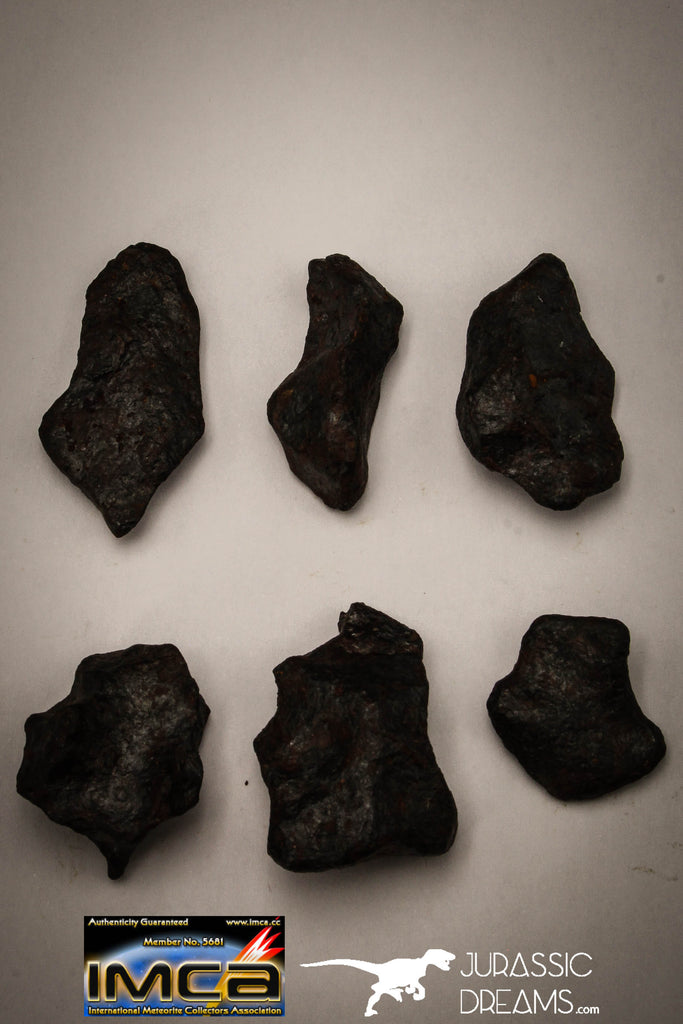 22417 - Collection of "Agoudal" Imilchil Iron IIAB Meteorites 61.7g