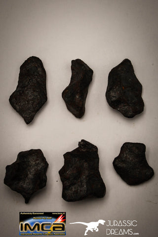 22417 - Collection of "Agoudal" Imilchil Iron IIAB Meteorites 61.7g