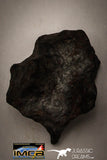 22417 - Collection of "Agoudal" Imilchil Iron IIAB Meteorites 61.7g