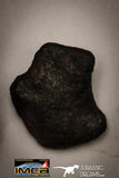 22417 - Collection of "Agoudal" Imilchil Iron IIAB Meteorites 61.7g