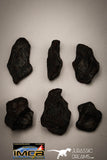 22417 - Collection of "Agoudal" Imilchil Iron IIAB Meteorites 61.7g