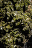 07917 - Slender Grass Green Epidote Crystals on Matrix Imilchil Mine Morocco