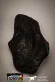 22417 - Collection of "Agoudal" Imilchil Iron IIAB Meteorites 61.7g