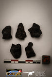 22418 - Collection of "Agoudal" Imilchil Iron IIAB Meteorites 50.1g