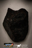 22418 - Collection of "Agoudal" Imilchil Iron IIAB Meteorites 50.1g