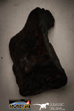 22418 - Collection of "Agoudal" Imilchil Iron IIAB Meteorites 50.1g