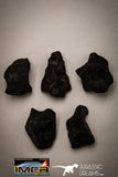 22418 - Collection of "Agoudal" Imilchil Iron IIAB Meteorites 50.1g