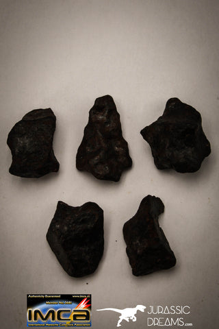 22418 - Collection of "Agoudal" Imilchil Iron IIAB Meteorites 50.1g