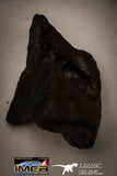 22418 - Collection of "Agoudal" Imilchil Iron IIAB Meteorites 50.1g