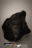 22418 - Collection of "Agoudal" Imilchil Iron IIAB Meteorites 50.1g