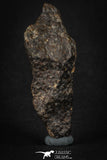 88040 - Unclassified NWA 39 g Chondrite L-H Type Meteorite Sahara Fall