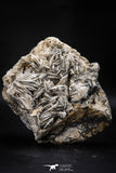 06862 - Top Beautiful 5.66 Inch Barite Crystals - Mibladen Mining District, Morocco
