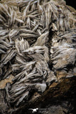 06862 - Top Beautiful 5.66 Inch Barite Crystals - Mibladen Mining District, Morocco