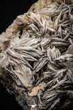 06862 - Top Beautiful 5.66 Inch Barite Crystals - Mibladen Mining District, Morocco